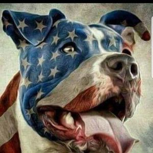 Meet your Posher, Carole